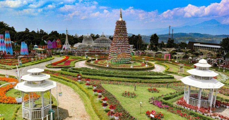 Tamanbungacelosia.com/Taman Bunga Celosia